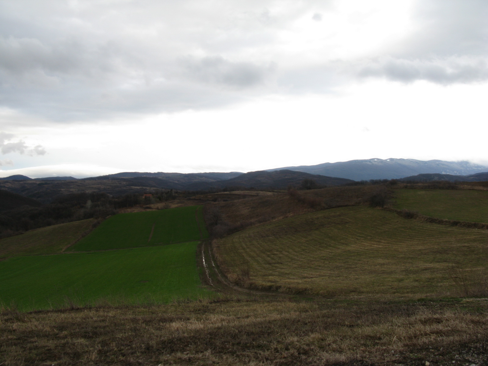Lovište Orlovica